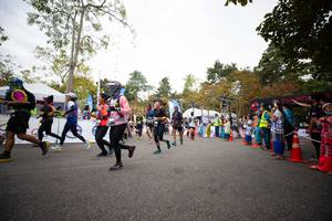 BIB: 
                            <button type="button" onclick="openModal(13715315)" class="btn btn-primary btn-sm float-right btn-popup" data-toggle="modal" data-target=".modal-high-quality">
                        <i class="fas fa-shopping-cart"></i> Add to Cart
                    </button>
                                            <button type="button" onclick="isThisMe(13715315, true)" class="btn btn-success btn-sm float-right btn-popup btn-isme hidden" data-toggle="tooltip" data-placement="bottom" title="นี่คือรูปของคุณใช่ไหม คลิกที่นี่เพื่อเอาเข้าอัลบั้ม">
                        <i class="fas fa-plus"></i> Add to album
                    </button>
                    <button type="button" onclick="isThisMe(13715315, false)" class="btn btn-warning btn-sm float-right btn-popup btn-isnotme hidden">
                        <i class="fas fa-ban"></i> Remove from album
                    </button>